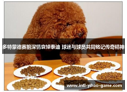 多特蒙德赛前深情哀悼泰迪 球迷与球员共同铭记传奇精神 多特蒙德赛前深情哀悼泰迪 球迷与球员共同铭记传奇精神